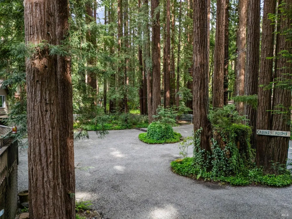 18 Wildwood Lane Cazadero, CA 95421