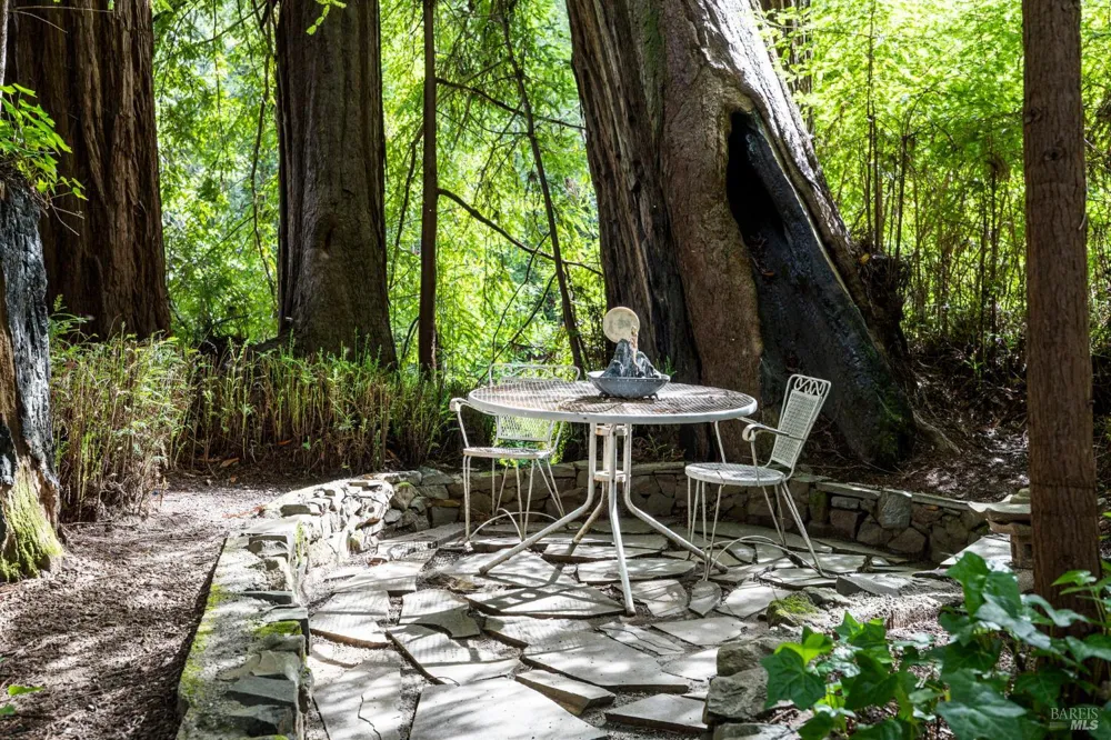 18 Wildwood Lane Cazadero, CA 95421
