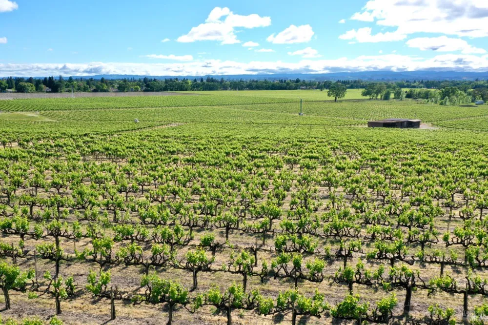 Pleasant Avenue Santa Rosa, CA 95403
