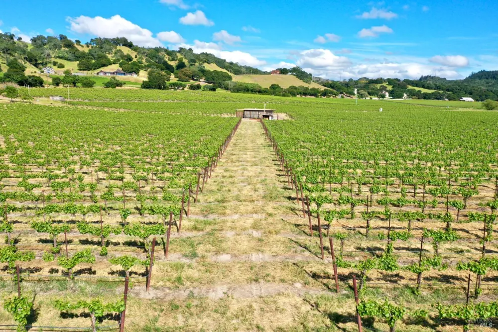 Pleasant Avenue Santa Rosa, CA 95403