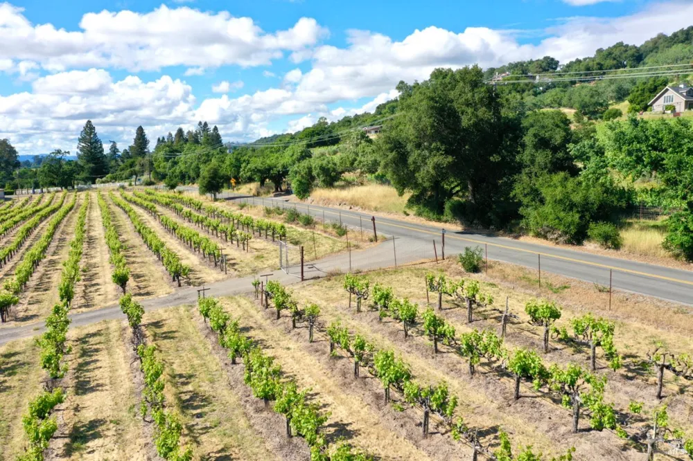 Pleasant Avenue Santa Rosa, CA 95403