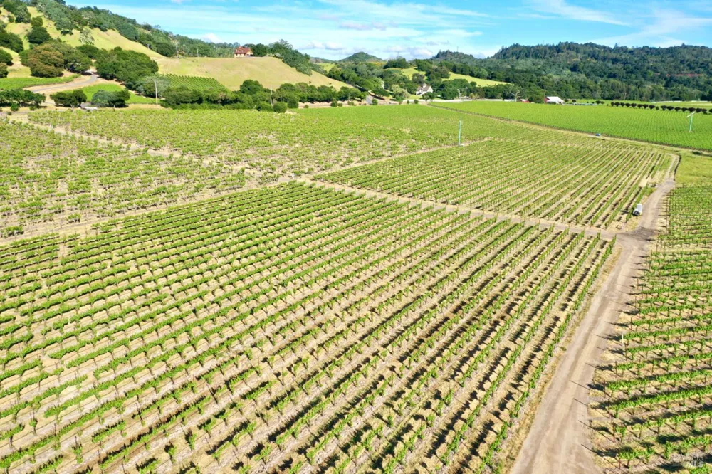Pleasant Avenue Santa Rosa, CA 95403