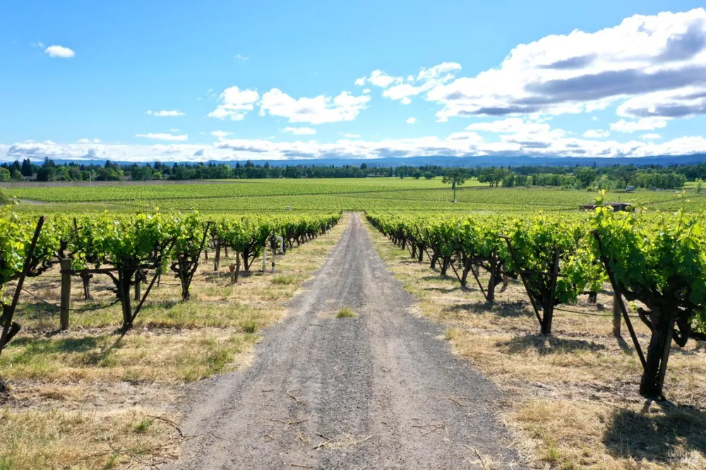 Pleasant Avenue Santa Rosa, CA 95403