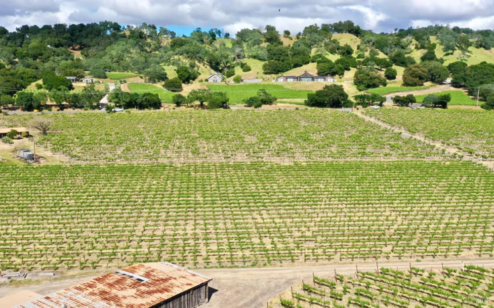 Pleasant Avenue Santa Rosa, CA 95403