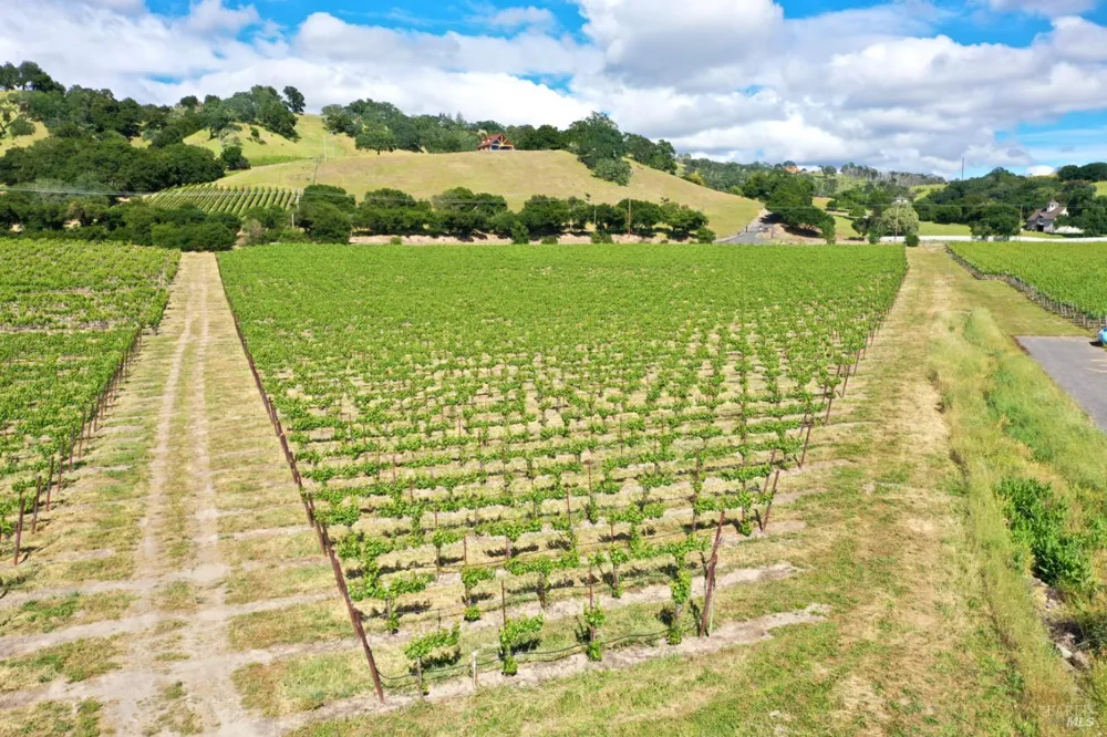 Pleasant Avenue Santa Rosa, CA 95403