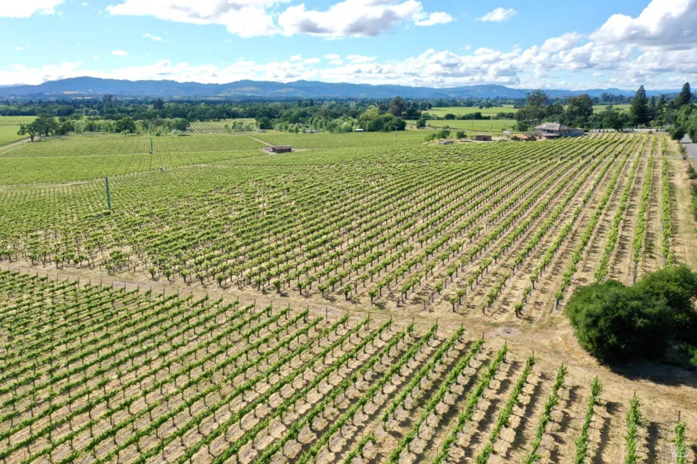 Pleasant Avenue Santa Rosa, CA 95403