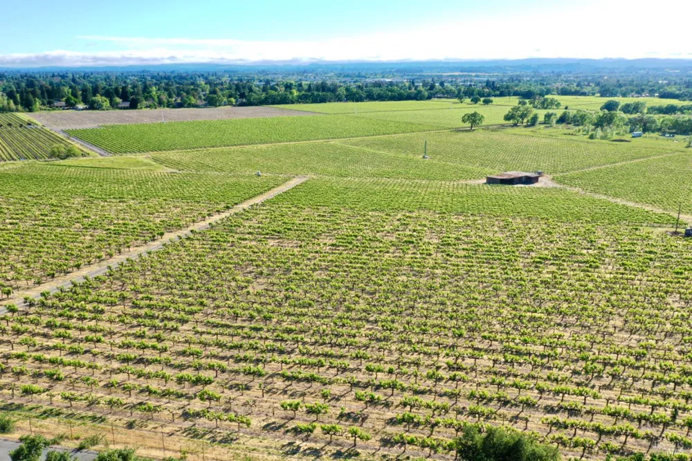 Pleasant Avenue Santa Rosa, CA 95403