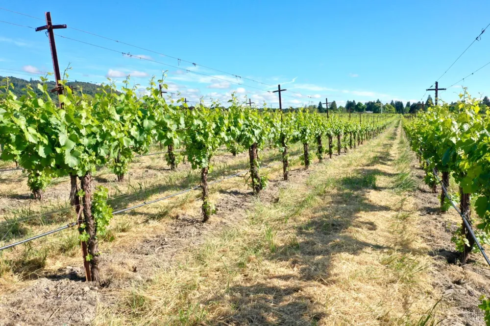 Pleasant Avenue Santa Rosa, CA 95403