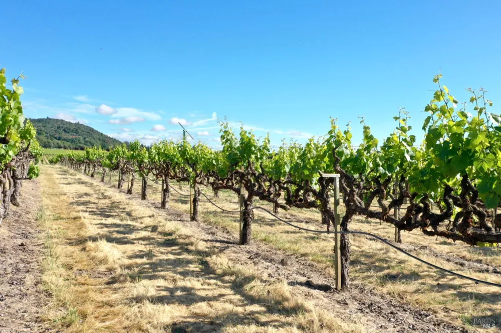 Pleasant Avenue Santa Rosa, CA 95403