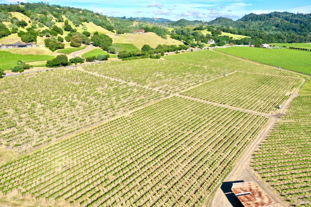 Pleasant Avenue Santa Rosa, CA 95403
