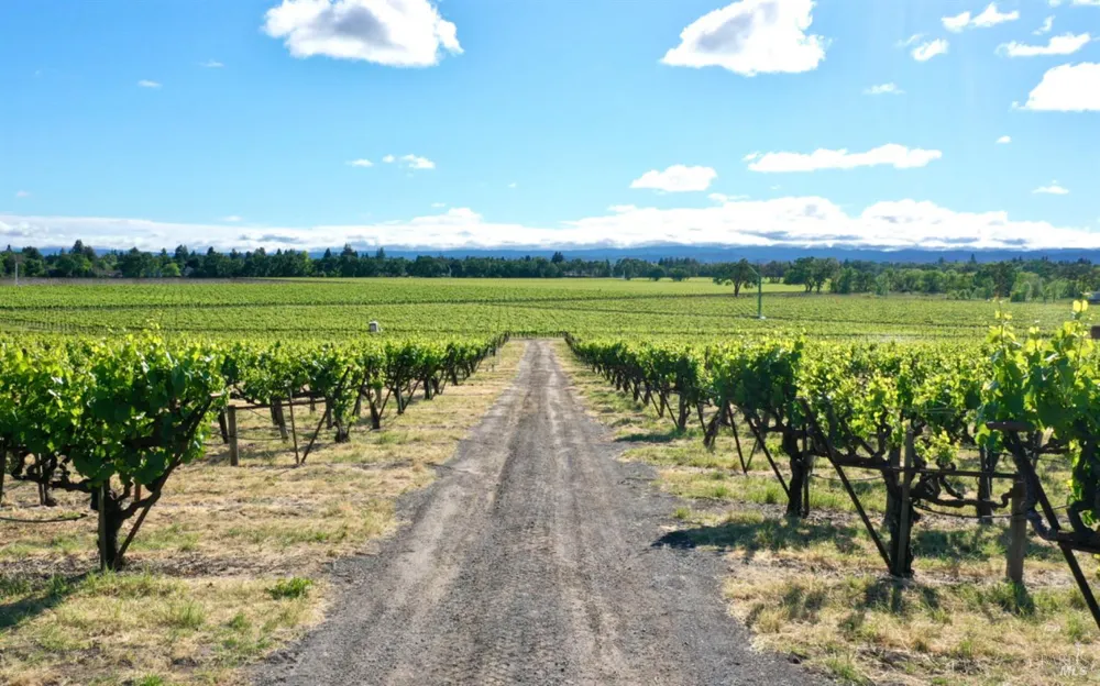 Pleasant Avenue Santa Rosa, CA 95403