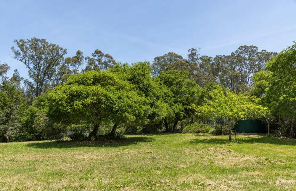 5955 Shoreline Highway Bolinas, CA 94924