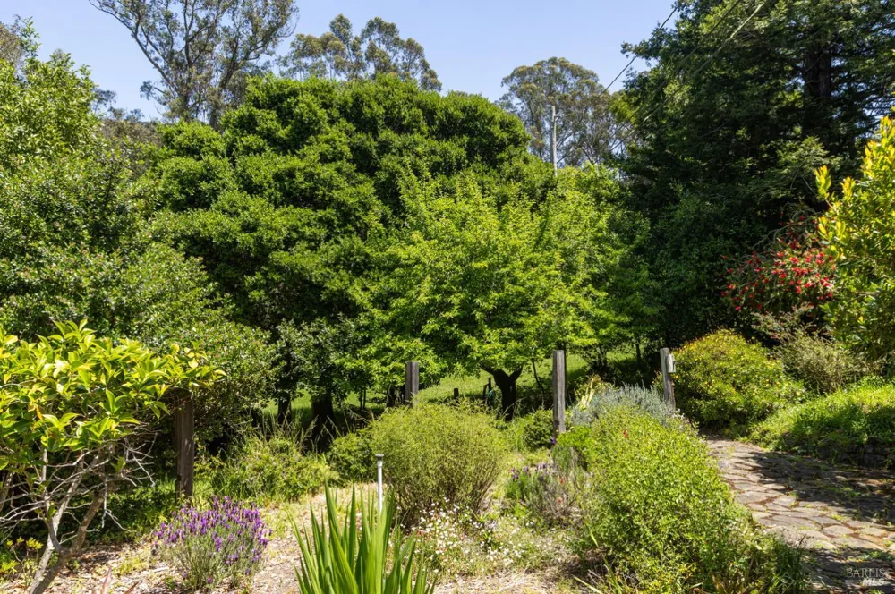 5955 Shoreline Highway Bolinas, CA 94924