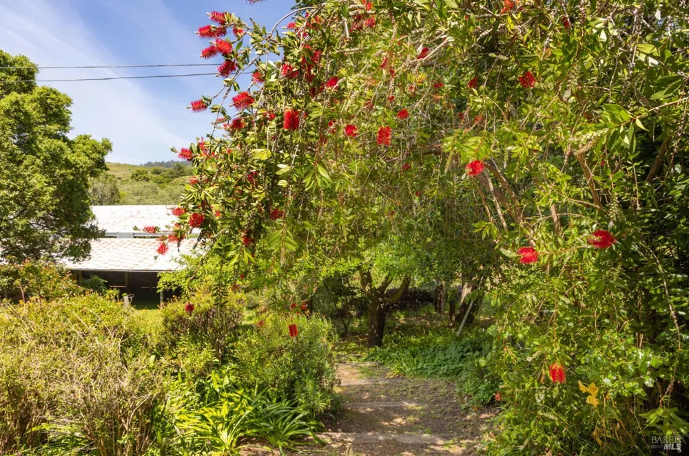5955 Shoreline Highway Bolinas, CA 94924