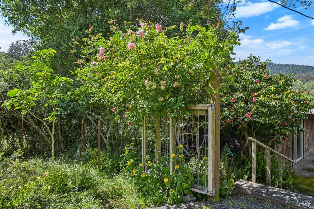 5955 Shoreline Highway Bolinas, CA 94924
