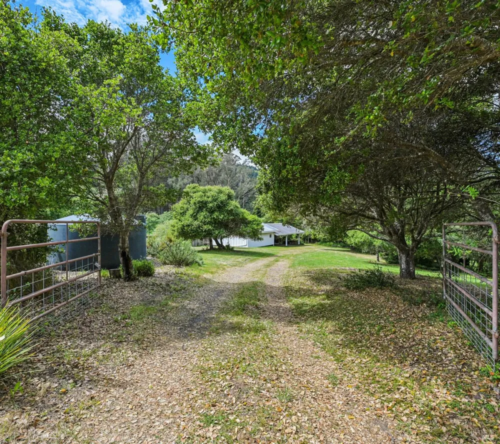 5955 Shoreline Highway Bolinas, CA 94924