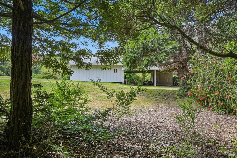 5955 Shoreline Highway Bolinas, CA 94924