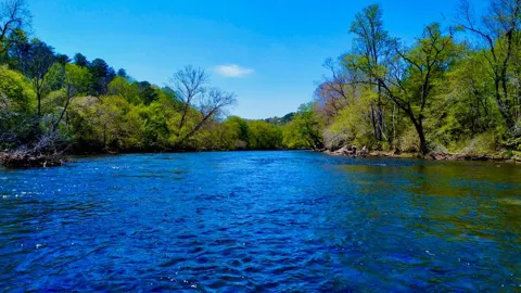 00 Toccoa River Forest