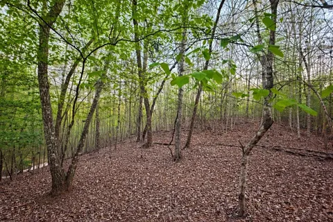 Lot 5 Riverbend Manor
