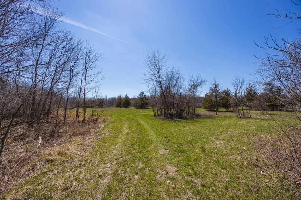Jennings Road Whitmore Lake, MI 48189