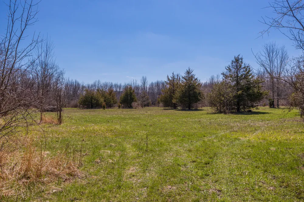 Jennings Road Whitmore Lake, MI 48189