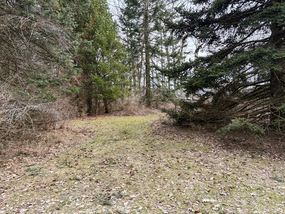 4973 S Lakeshore Drive Ludington, MI 49431
