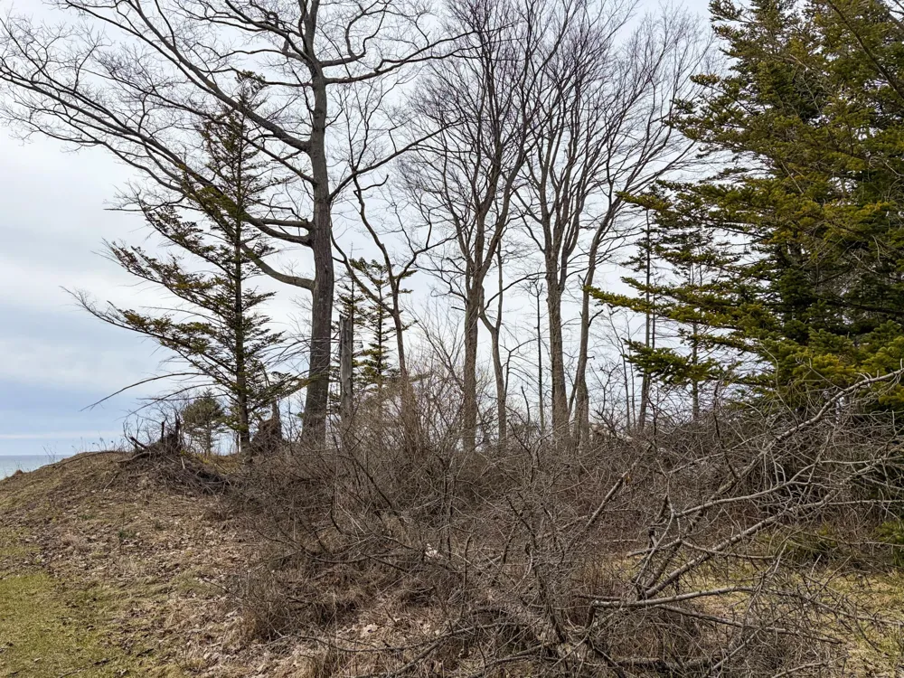 4973 S Lakeshore Drive Ludington, MI 49431