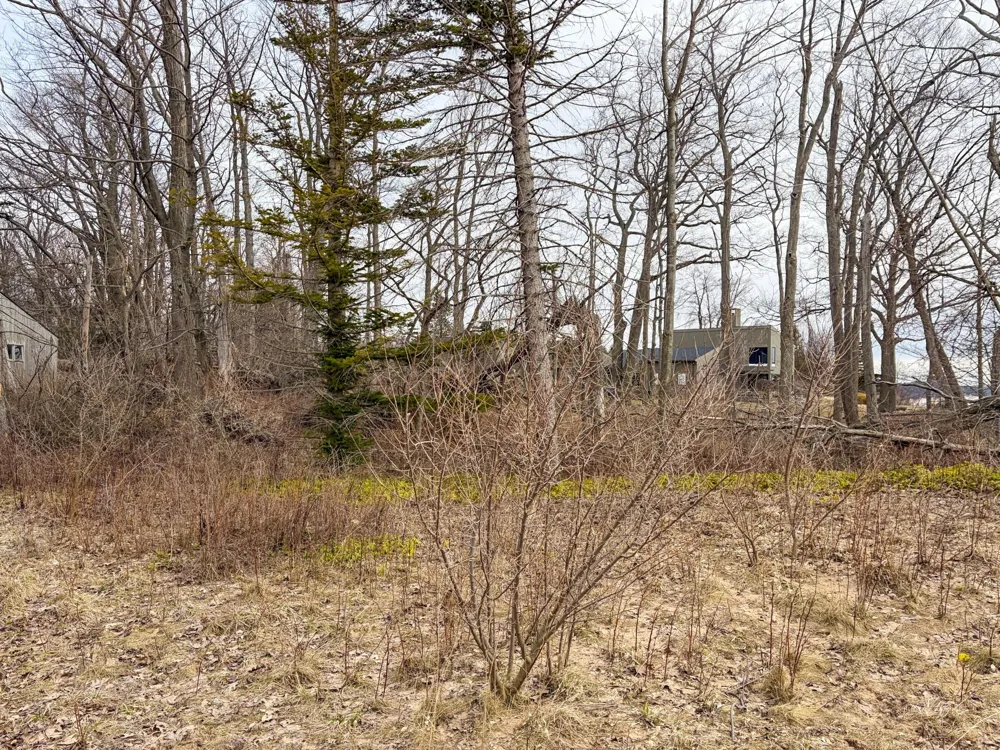 4973 S Lakeshore Drive Ludington, MI 49431