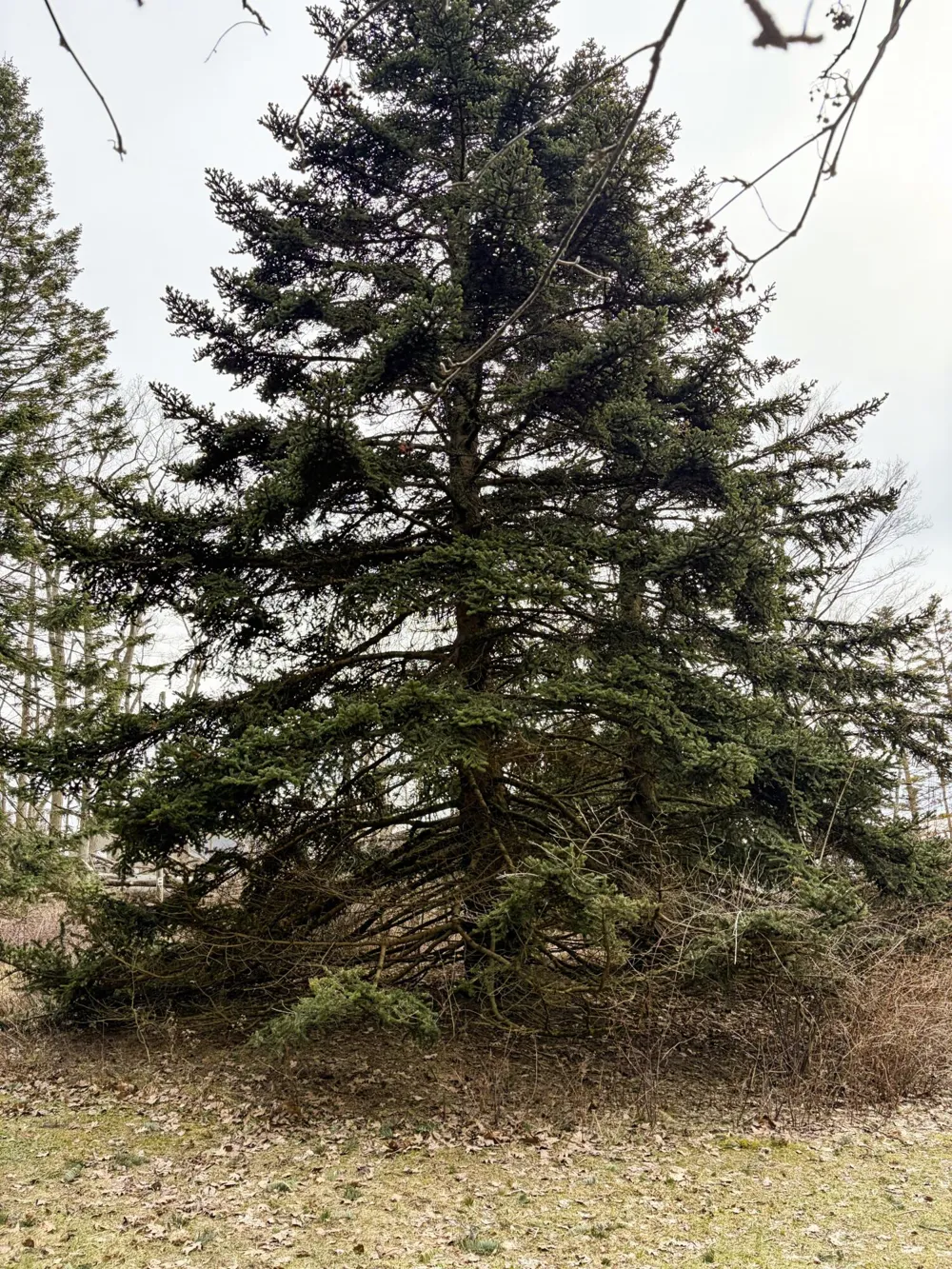 4973 S Lakeshore Drive Ludington, MI 49431