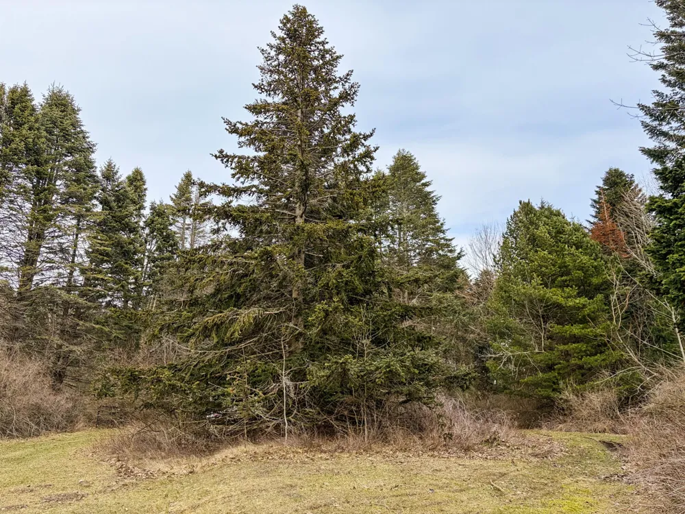 4973 S Lakeshore Drive Ludington, MI 49431