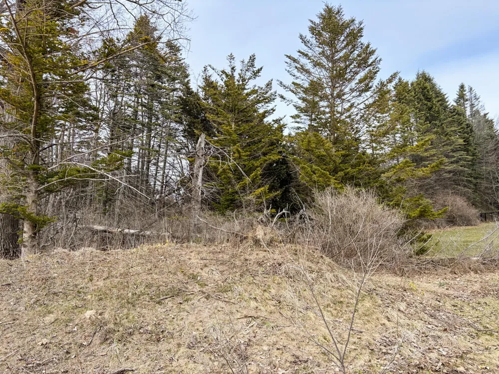 4973 S Lakeshore Drive Ludington, MI 49431