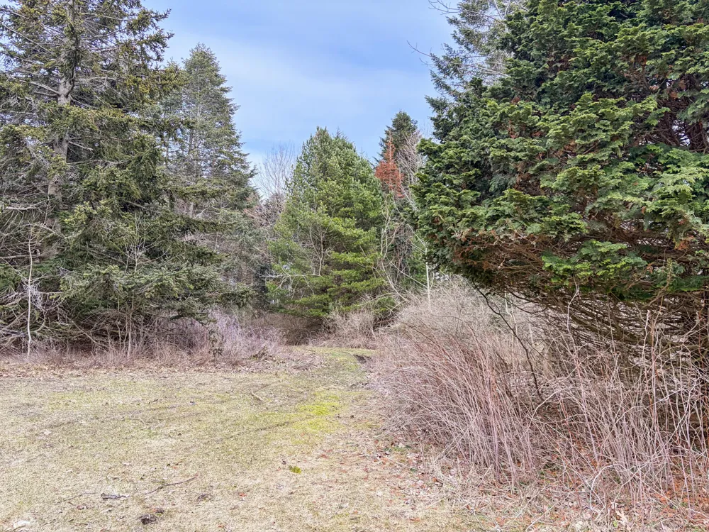 4973 S Lakeshore Drive Ludington, MI 49431