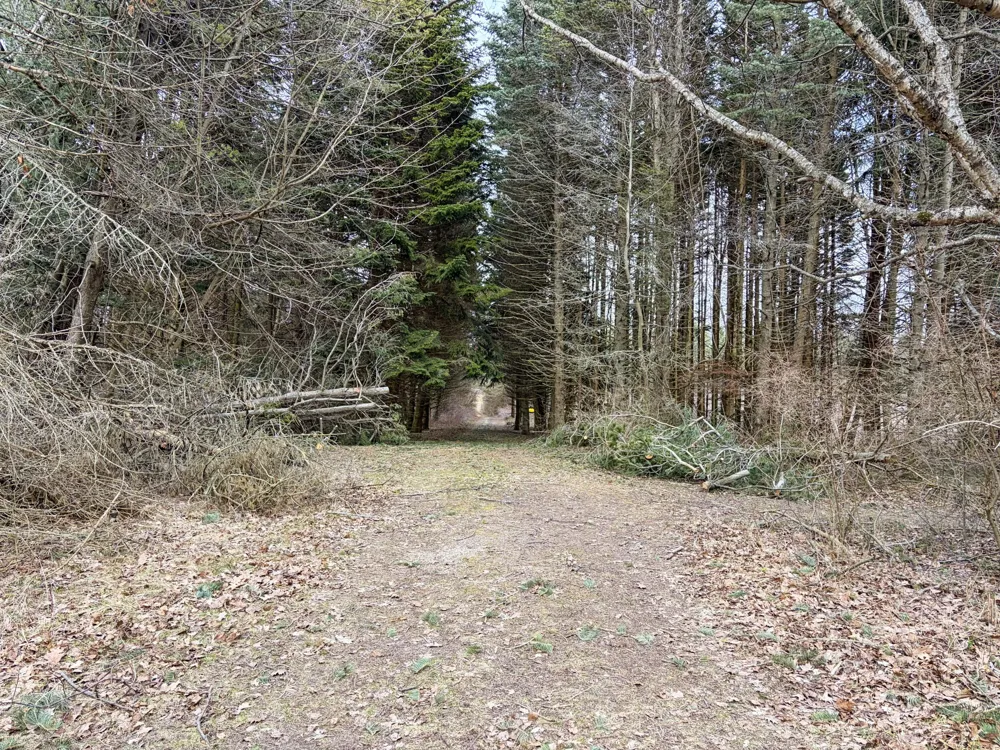 4973 S Lakeshore Drive Ludington, MI 49431