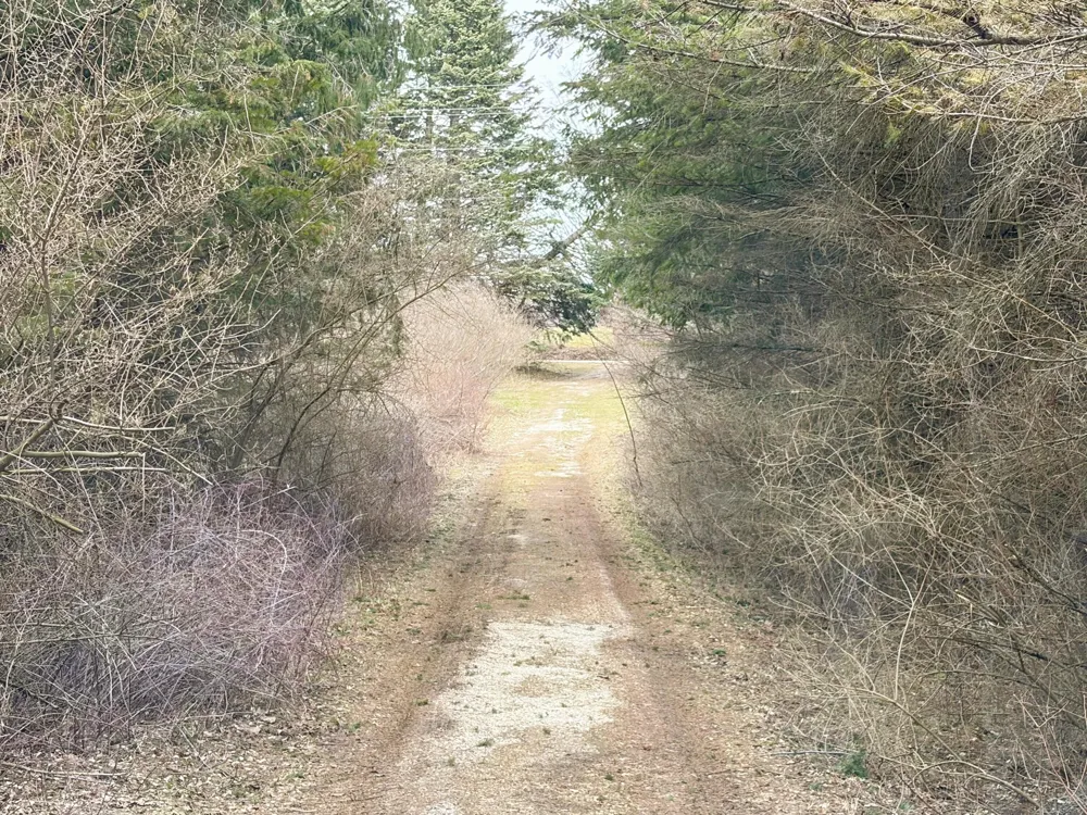 4973 S Lakeshore Drive Ludington, MI 49431