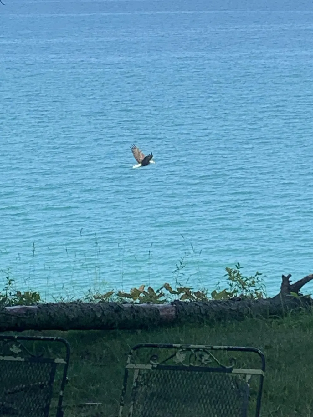 4973 S Lakeshore Drive Ludington, MI 49431