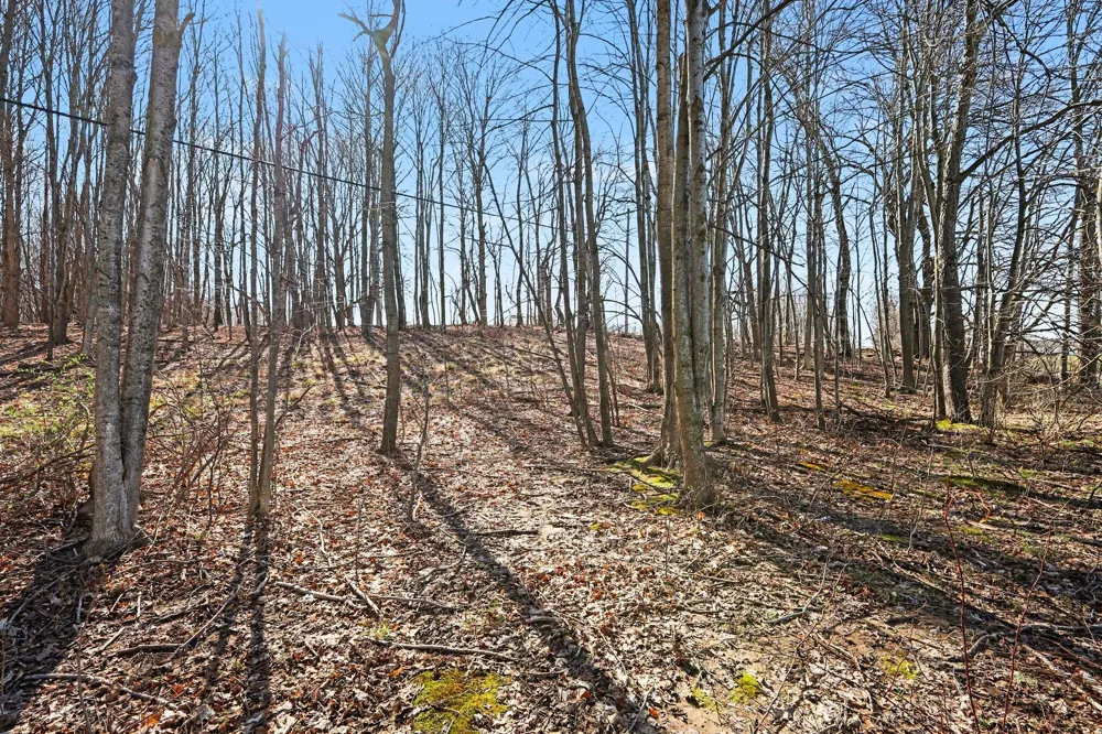 10410 Division NE Sparta, MI 49345