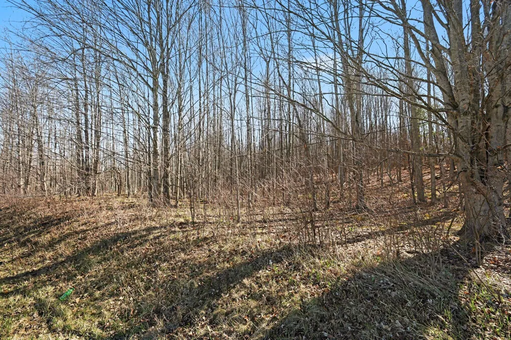 10410 Division NE Sparta, MI 49345