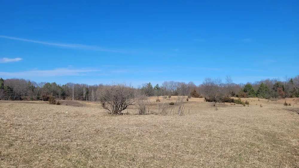 472 Evergreen Drive White Cloud, MI 49349