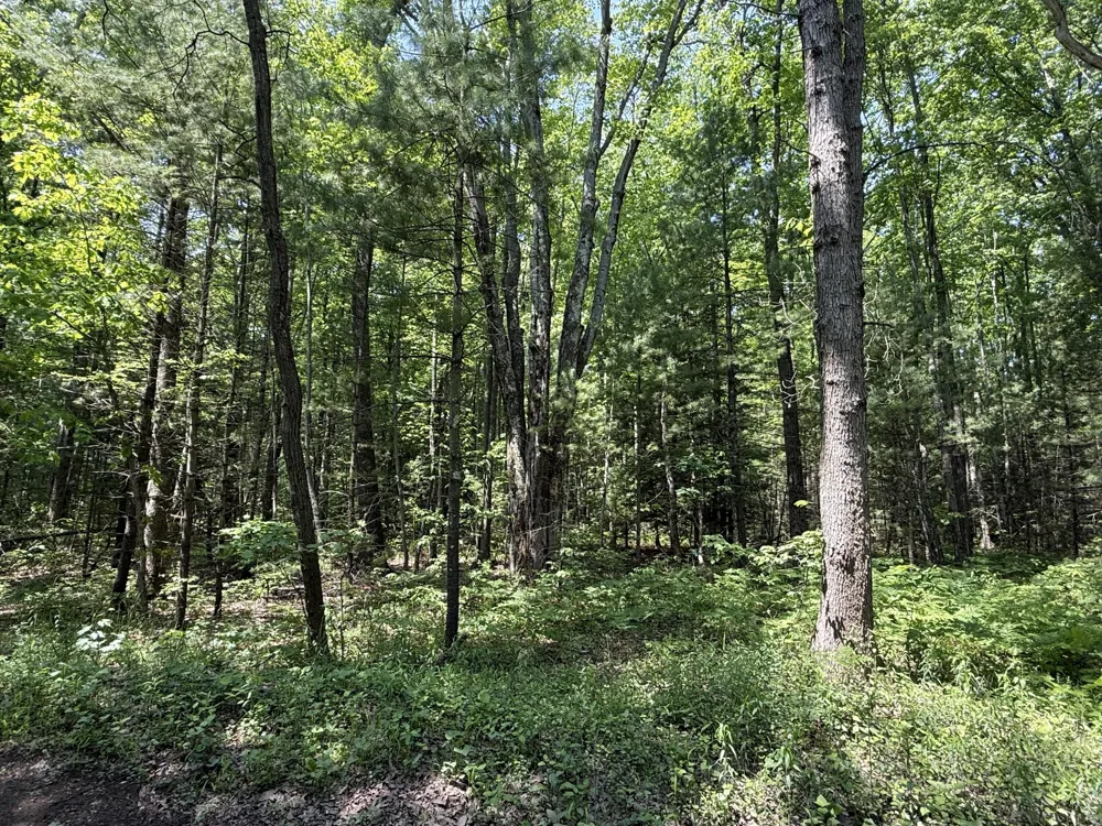 Austin Road Twin Lake, MI 49457