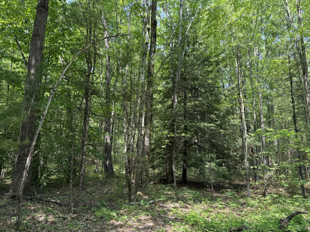 Austin Road Twin Lake, MI 49457
