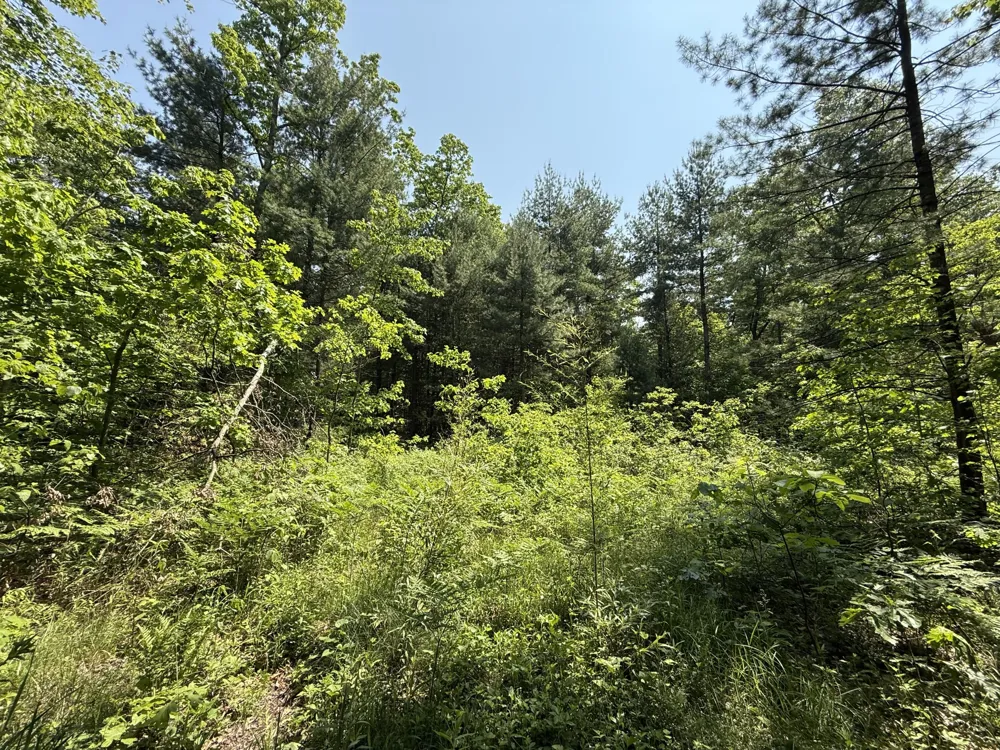 Austin Road Twin Lake, MI 49457