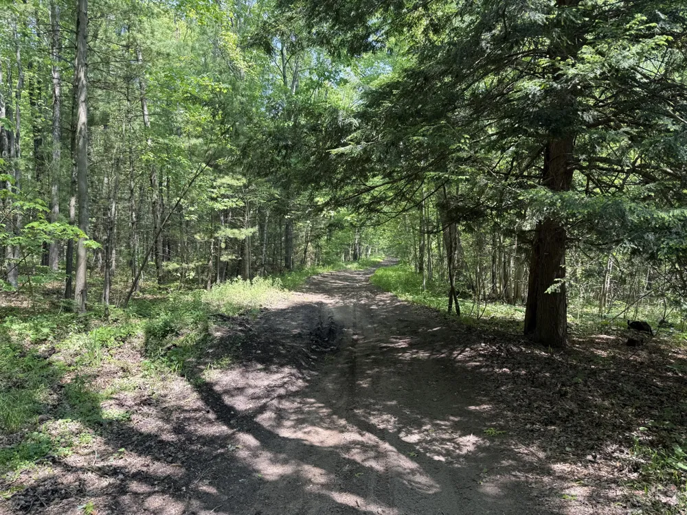Austin Road Twin Lake, MI 49457