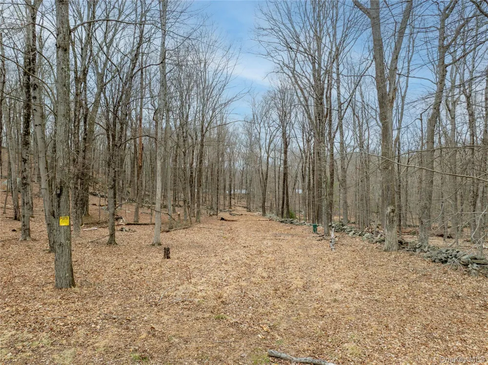 22 Joshua Hobby Lane Pound Ridge, NY 10576