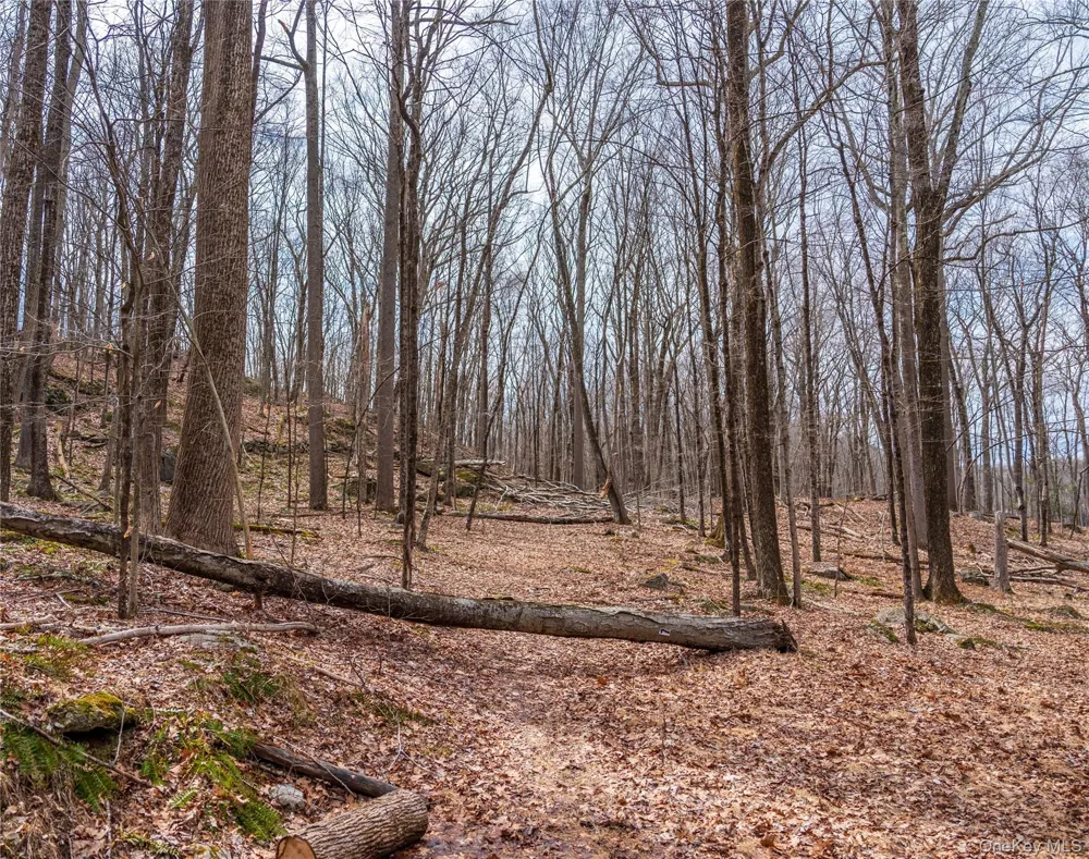 22 Joshua Hobby Lane Pound Ridge, NY 10576