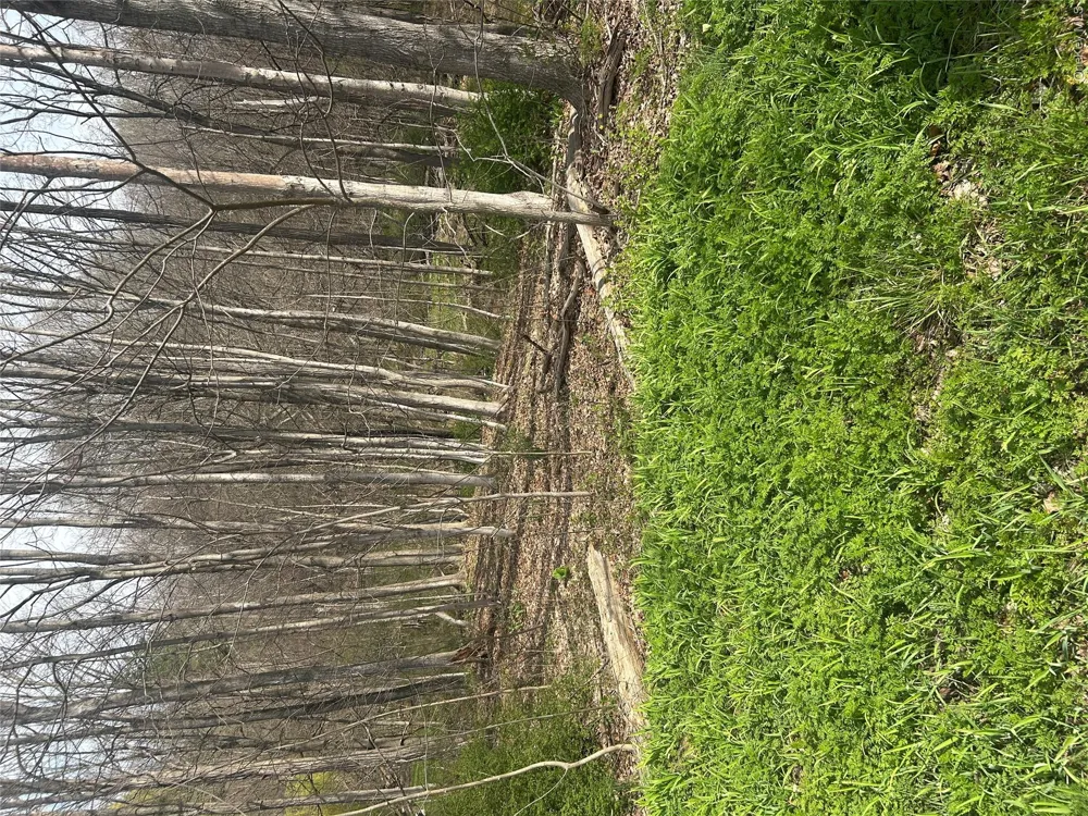 Noxon Road Lagrangeville, NY 12540