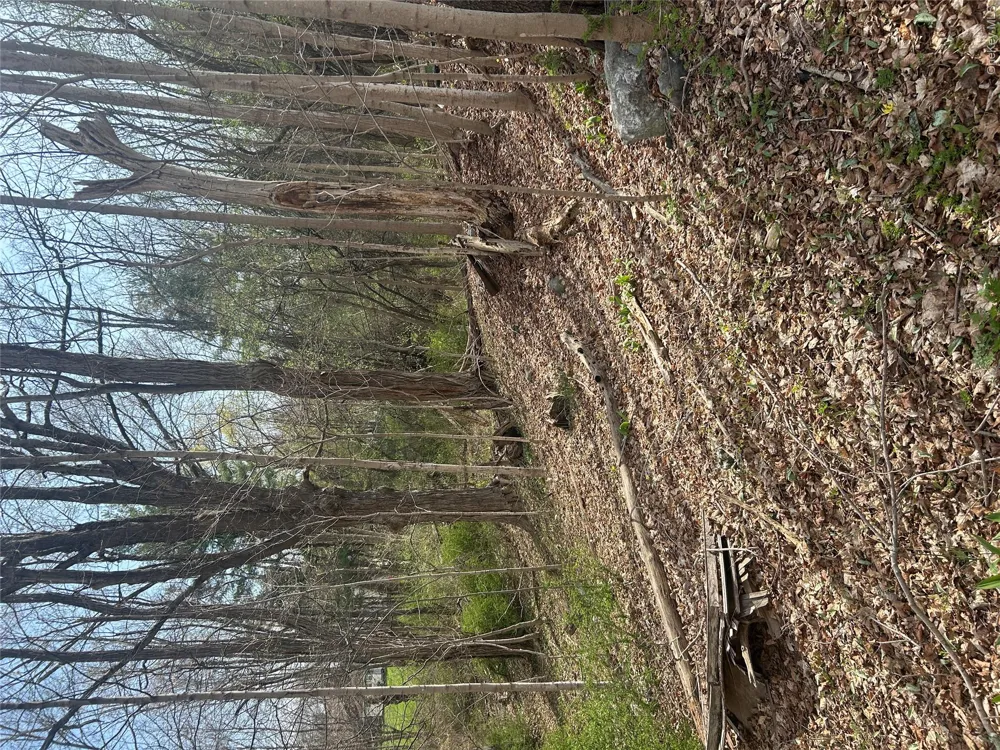 Noxon Road Lagrangeville, NY 12540