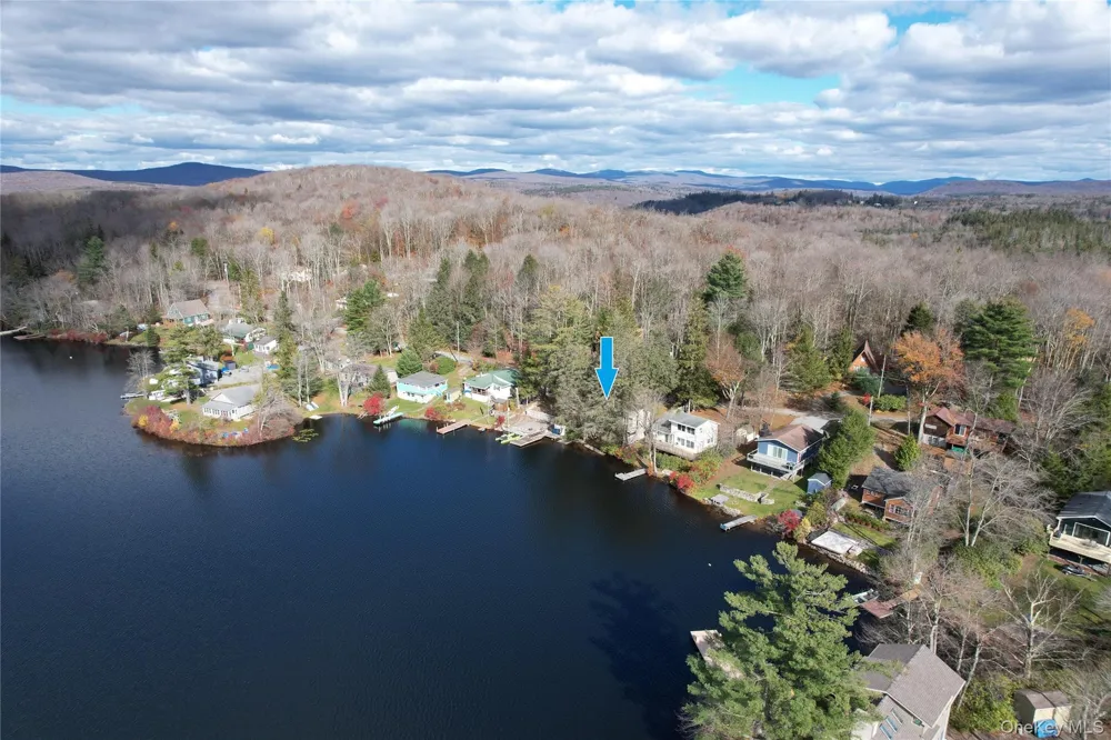 106 Park Drive Parksville, NY 12768