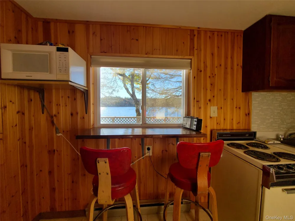 106 Park Drive Parksville, NY 12768