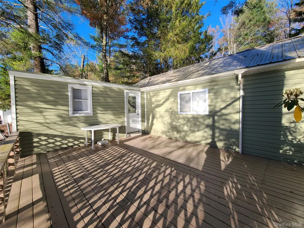 106 Park Drive Parksville, NY 12768