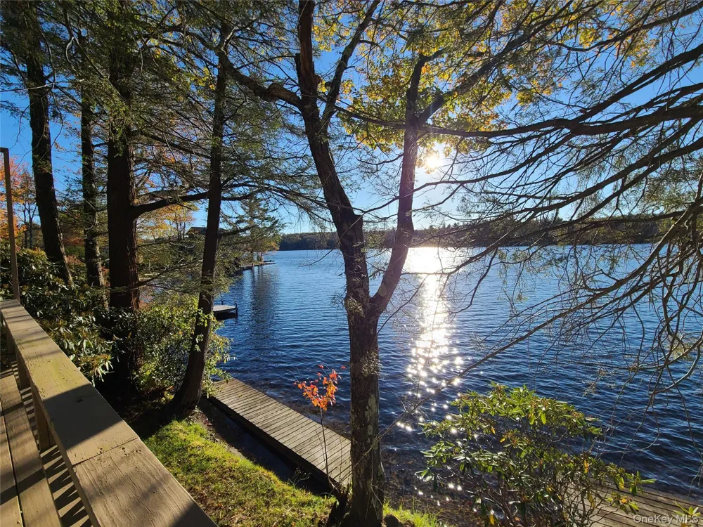 106 Park Drive Parksville, NY 12768